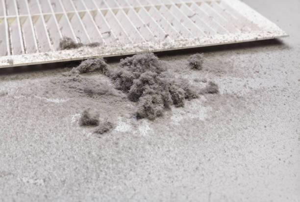 Best Dryer Vent Cleaning Services  in Lino Lakes, MN