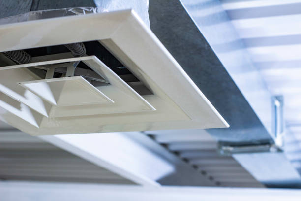 Best Ductwork Cleaning Services  in Lino Lakes, MN