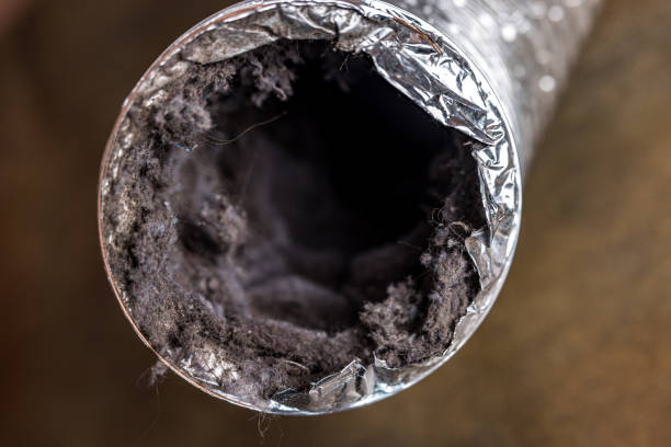 Best Emergency Air Duct Cleaning  in Lino Lakes, MN