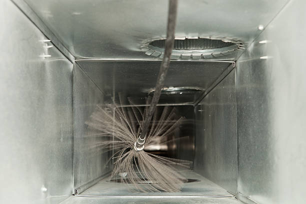 Best Affordable Duct Cleaning Services  in Lino Lakes, MN